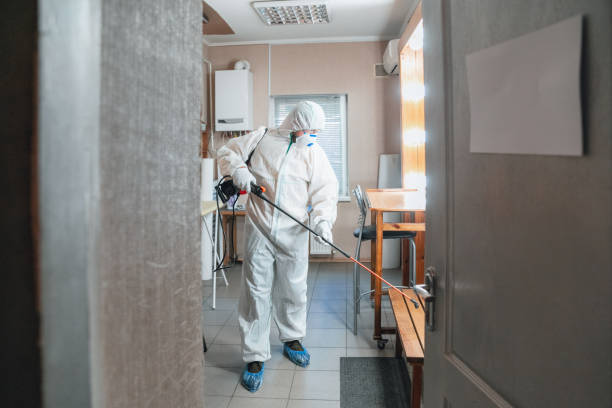 Best Residential Mold Inspection & Testing  in Williamsburg, FL