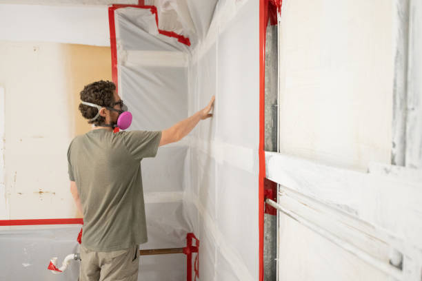 Mold Removal for HVAC Installations in Williamsburg, FL