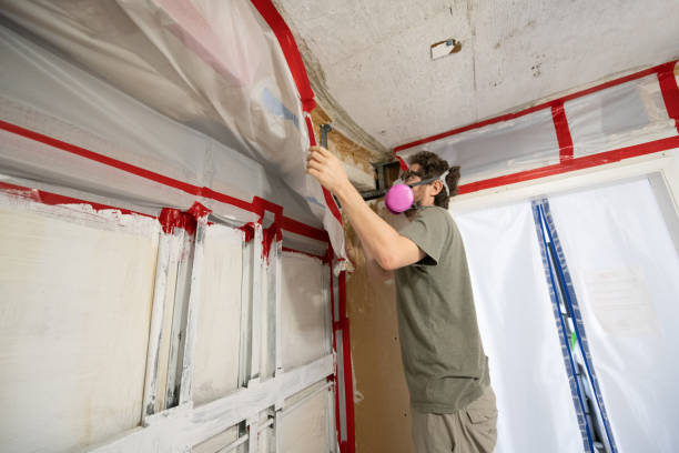 Best Dehumidification Services  in Williamsburg, FL