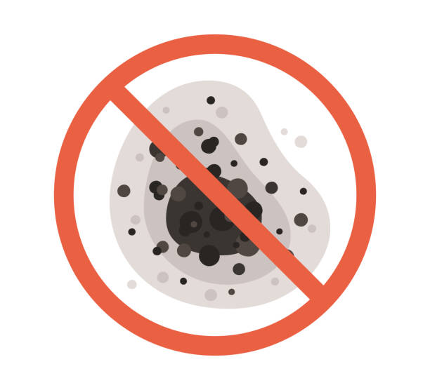 Best Commercial Mold Inspection  in Williamsburg, FL