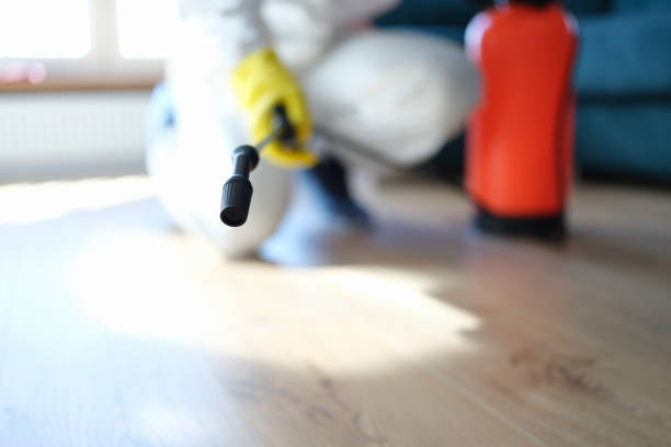 Best Real Estate Mold Inspection  in Williamsburg, FL