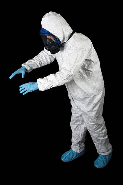 Best Basement Mold Removal  in Williamsburg, FL