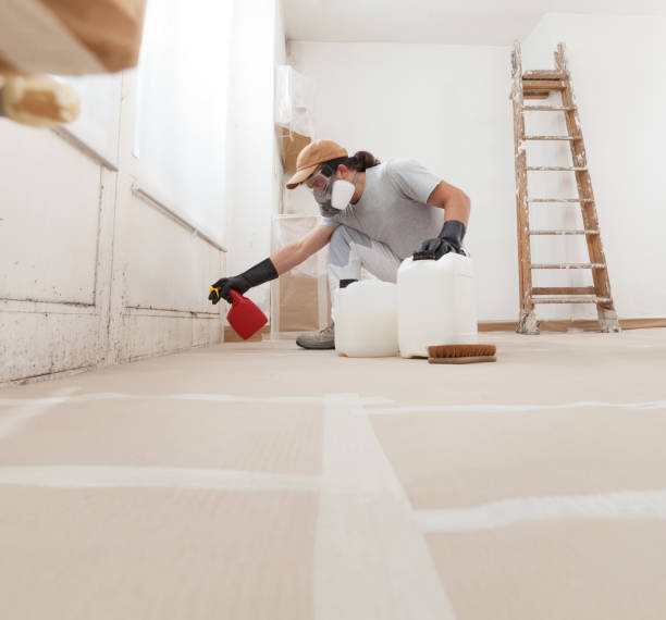 Mold Documentation for Insurance Claims in Williamsburg, FL