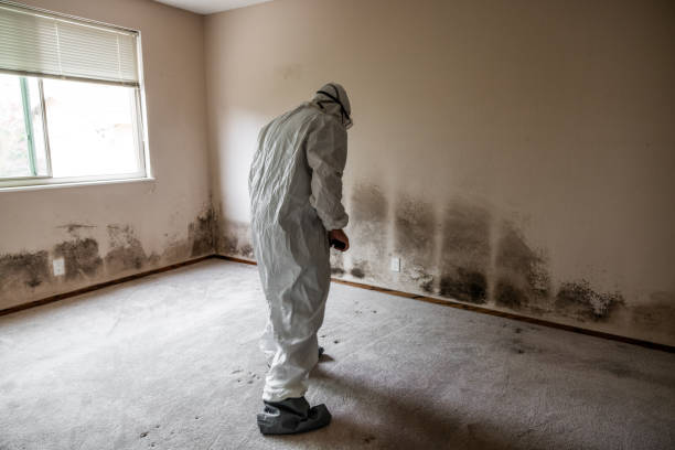 Best Post-Remediation Verification Testing  in Williamsburg, FL