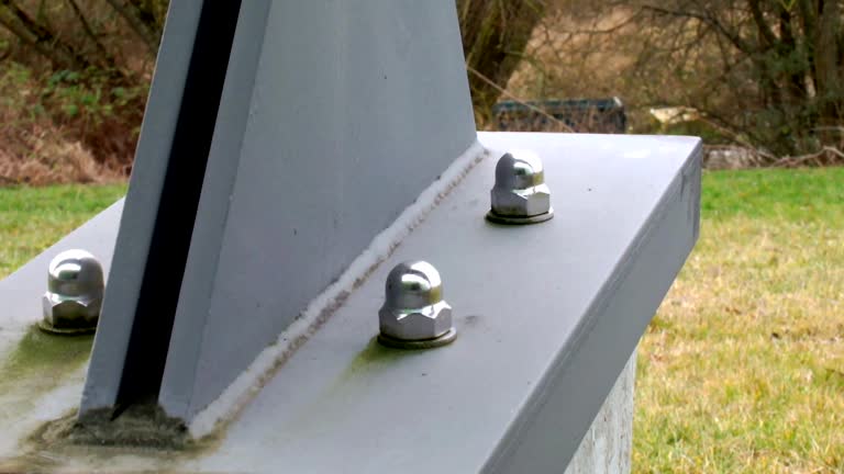 Best Attic Mold Removal  in Williamsburg, FL